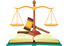 ���ٷ�����ѯ