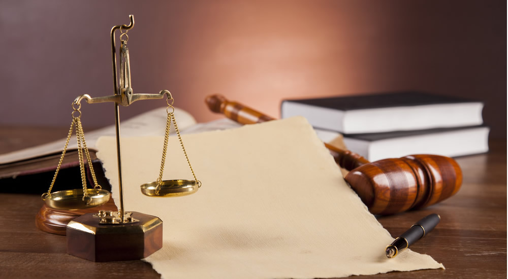 ������Ŷ�