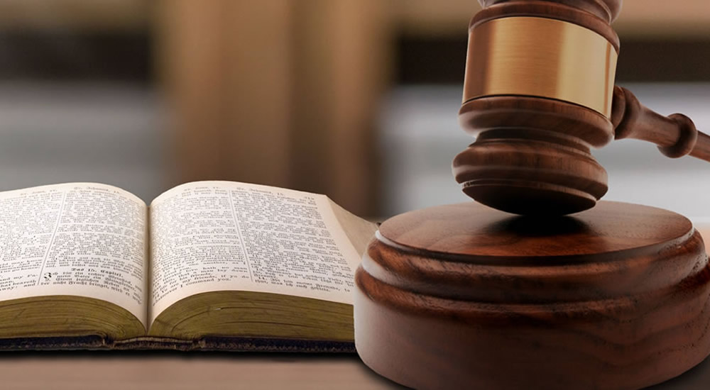 רҵ���񡢺�����Ӯ